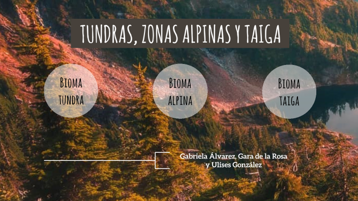 biomas by Gabriela Alvarez perez on Prezi