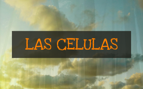 la celula by Loreny Ana on Prezi