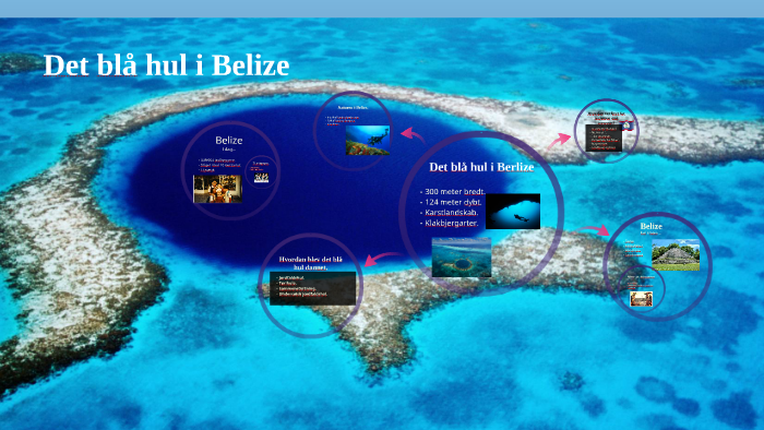 Det Store Bla Hul I Belize Wiki