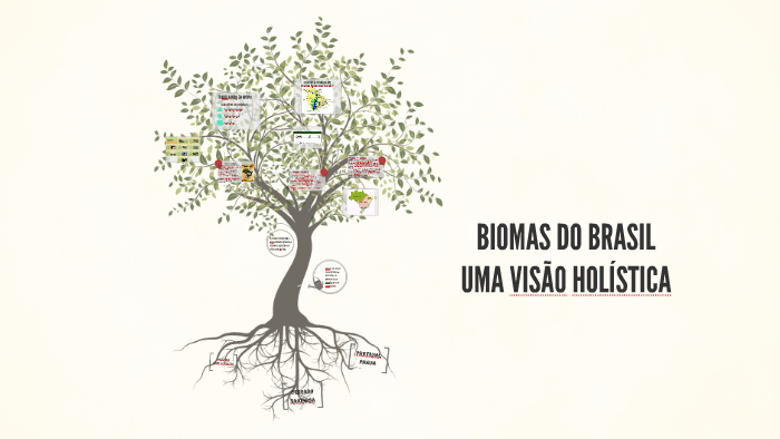 BIOMAS DO BRASIL by João Paulo Angeli on Prezi