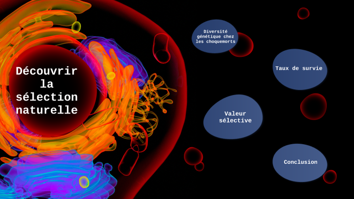 expo SVT : découvrir la sélection naturelle by Elisa Delmaere on Prezi