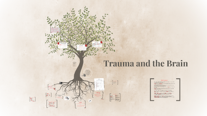 Childhood trauma affects the brain by H steele on Prezi