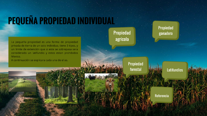 PEQUEÑA PROPIEDAD INDIVIDUAL by Ricardo Avila on Prezi