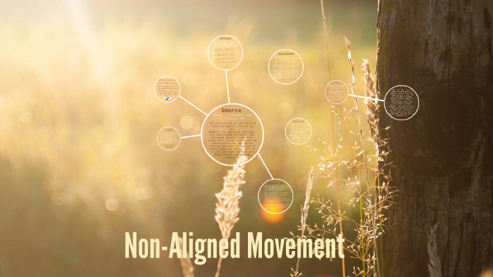 non-aligned-movement-by-marie-ha