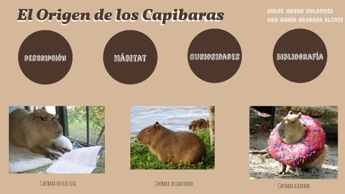 El origen de los Capibaras by Chloe Jimeno Urlacher on Prezi Next