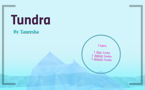 Tundra By Taneesha B On Prezi