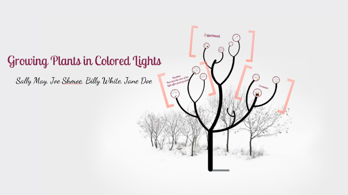 EXAMPLE PREZI By General Science A