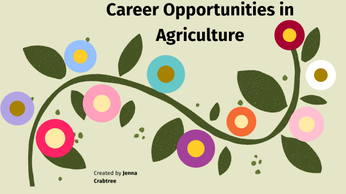 career-opportunities-in-agriculture-by-jenna-collett