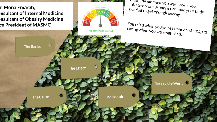 Hunger Scale and Satiety Index by Mona Emarah on Prezi