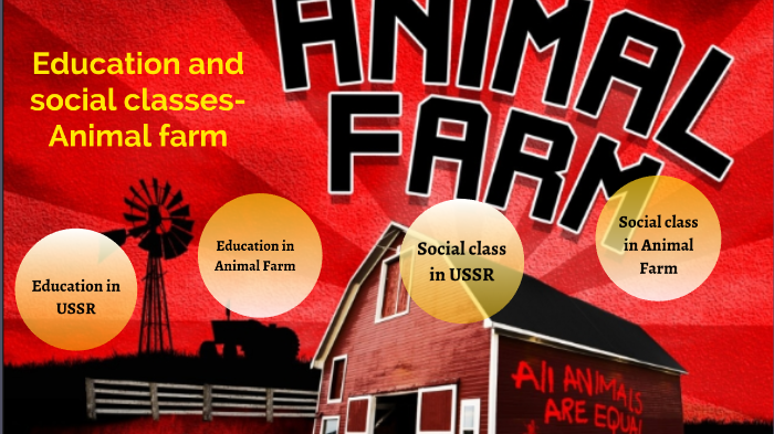 Education and social classes- Animal farm by magid hamour