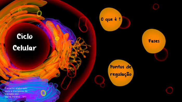 Fases do ciclo celular (artigo)