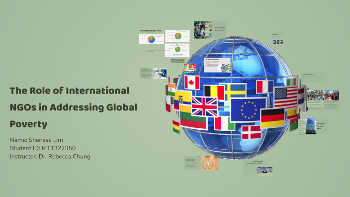 The role of international NGOs in addressing global poverty by Sherissa ...
