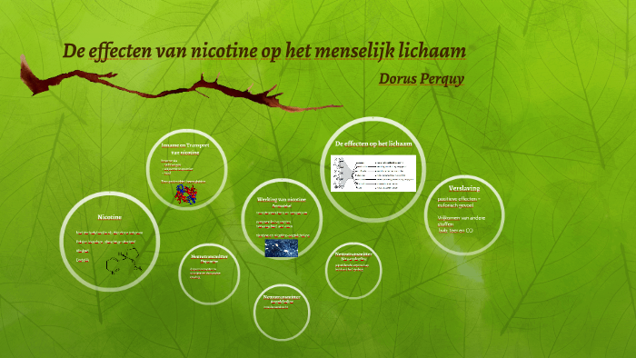 De effecten van nicotine op het menselijk lichaam by Dorus Perquy on Prezi