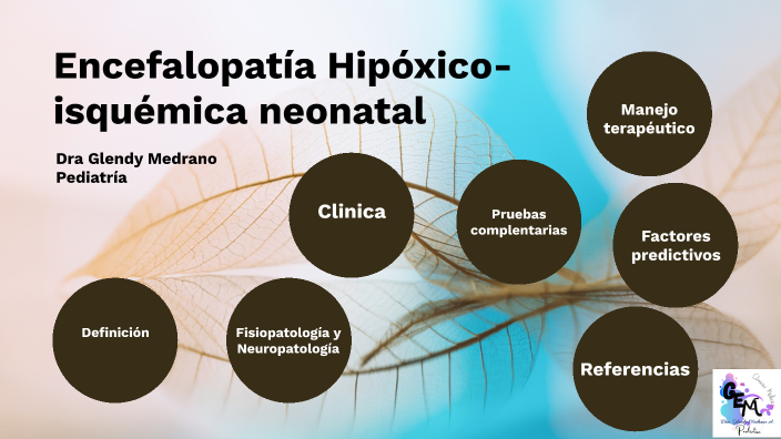 EncefalopatÍa Hipoxico Isquemica By Glendy Medrano On Prezi 9684