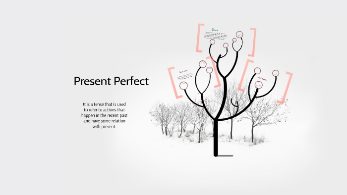 present perfect presentation prezi