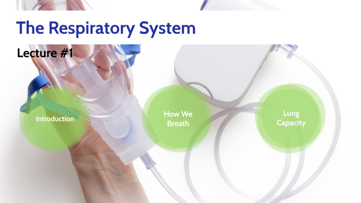 The Respiratory System #1 by MA Study Source on Prezi