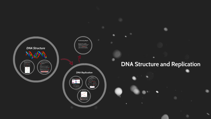 DNA Structure and DNA Replication by Brandon Lam on Prezi