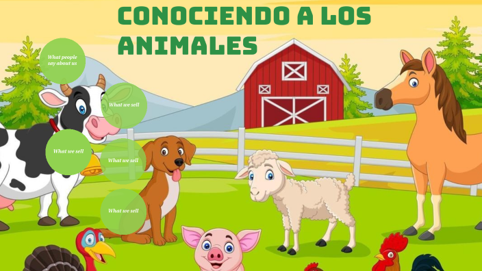 conociendo los animales by Jacquelin Ibañez on Prezi