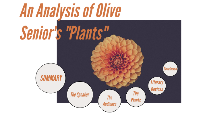 plants olive senior essay