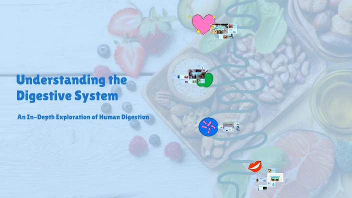 Understanding the Digestive System by Ryan Jones on Prezi