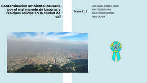 CONTAMINACIÓN AMBIENTAL CAUSADA POR EL MAL MANEJO DE BASURAS Y RESIDUOS ...