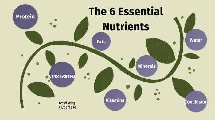 the-6-essential-nutrients-by-amiel-wing