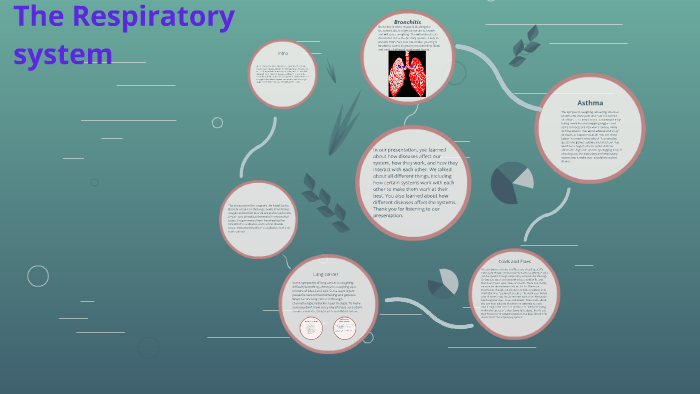 The Respiratory system by Keegen Smith on Prezi