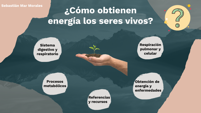 ¿Cómo obtienen energía los seres vivos? by Sebastián MarMorales on Prezi