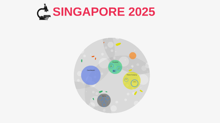 SINGAPORE 2025 by jimmy she on Prezi