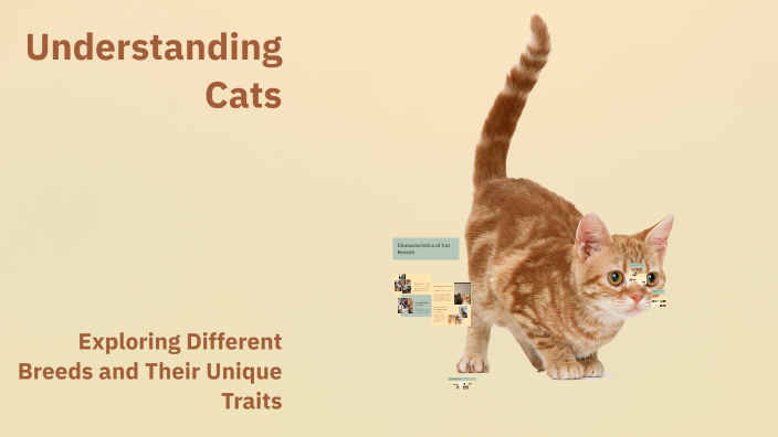Understanding Cats by Lala Lala on Prezi