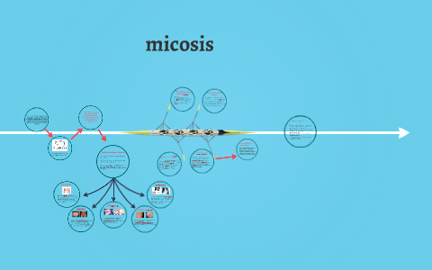 micosis by on Prezi