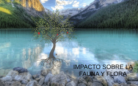 IMPACTO SOBRE LA FAUNA Y FLORA by Laura Ramirez on Prezi Next