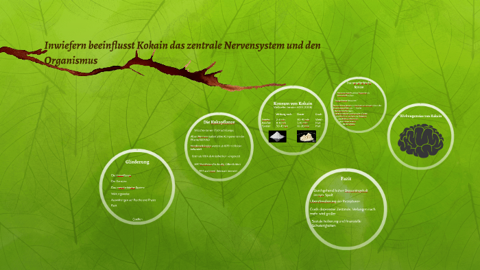 In Wie Fern Beeinflusst Kokain Das Zentrale Nervensystem By Susan