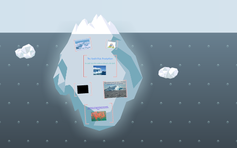 South Pole Ecosystem by Carleigh Hoelzel on Prezi