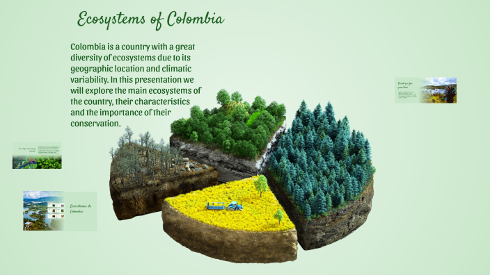 Ecosistemas de Colombia by Dayanis Argumedo on Prezi
