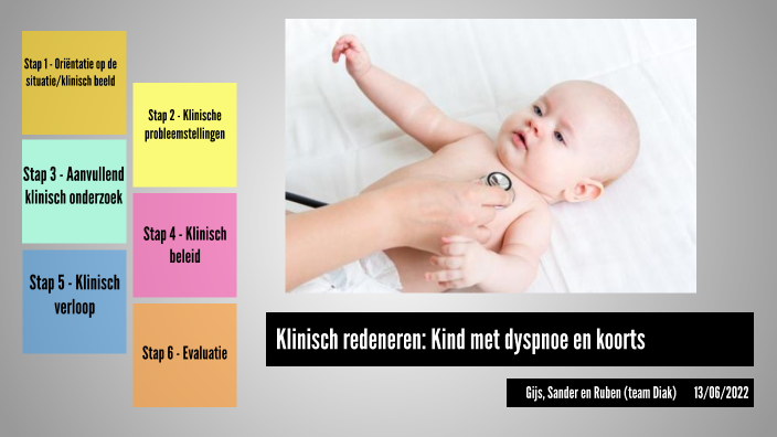Kind met dyspnoe en koorts by Ruben van der Mel