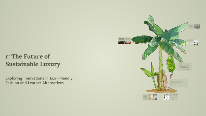 Banofi Leather: The Future of Sustainable Luxury by Anindya Dutta on Prezi
