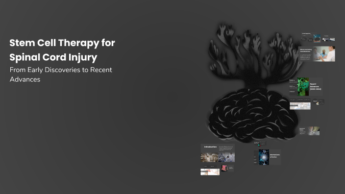 Stem Cell Therapy for Spinal Cord Injury by n k on Prezi