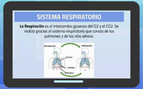 SISTEMA RESPIRATORIO by Lledó Muñoz Tena on Prezi