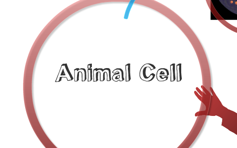 Animal Cell by Deon Hatter on Prezi