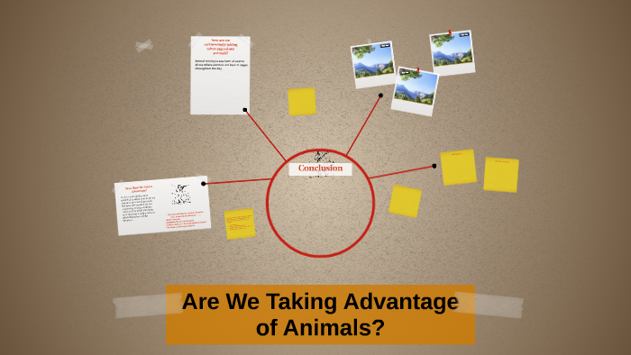 Are We Taking Advantage of Animals? by Rose Gonzalez on Prezi