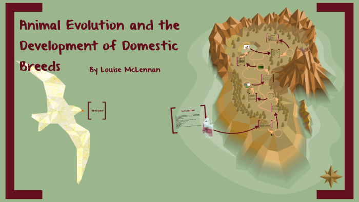 Animal Evolution and the development of domestic breeds by Louise ...