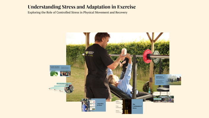 Understanding Stress and Adaptation in Exercise by Morgan Coach on Prezi