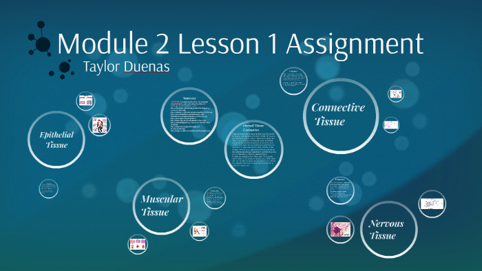 Module 2 Lesson 1 Assignment by Taylor Duenas on Prezi