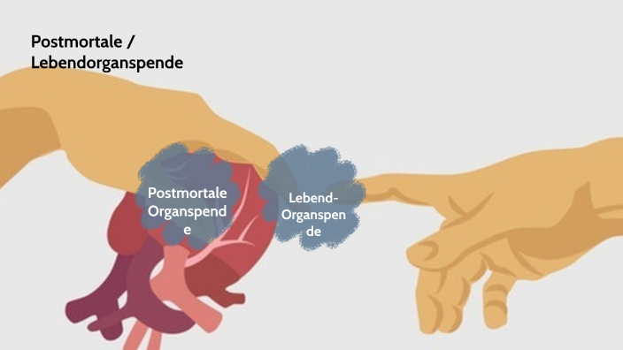 Organspende by olli on Prezi