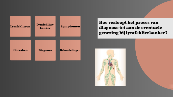 Proces Lymfeklierkanker By Iris Metz On Prezi