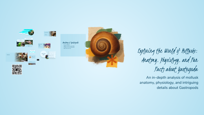 Exploring the World of Mollusks: Anatomy, Physiology, and Fun Facts ...