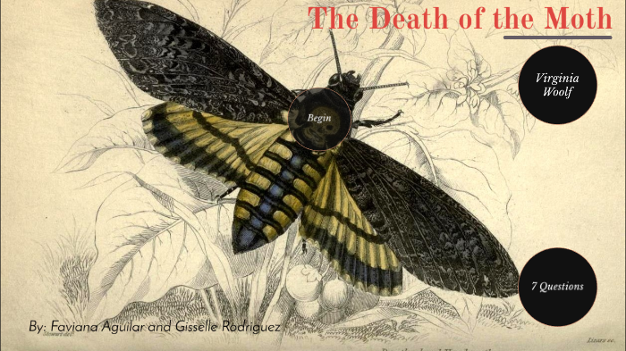 virginia woolf death of a moth