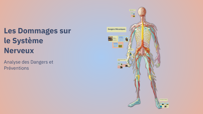 Les Dommages sur le Système Nerveux by Jia on Prezi
