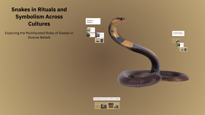 Snakes in Rituals and Symbolism Across Cultures by Tm K on Prezi